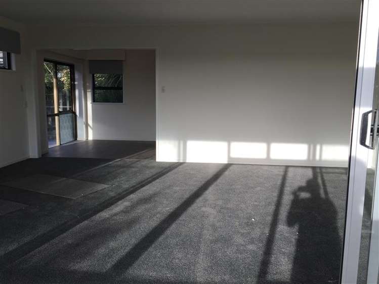 14 Otterson Street Tahunanui_8