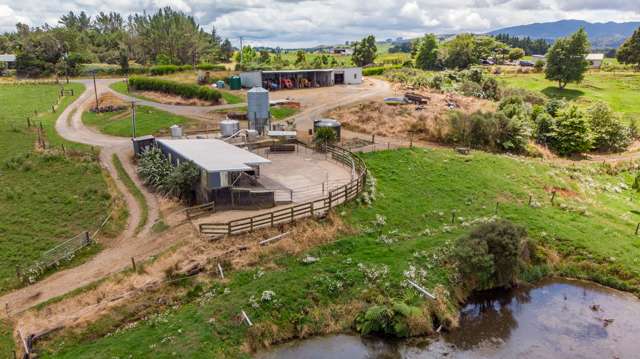 63 Kaimango Road Otorohanga_2