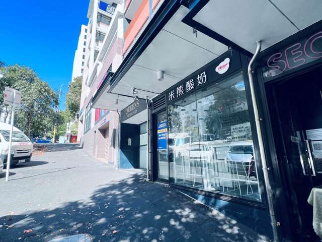 17 Wakefield Street City Centre_2