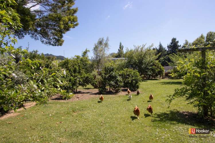 1 Kitchener Street Waihi_18