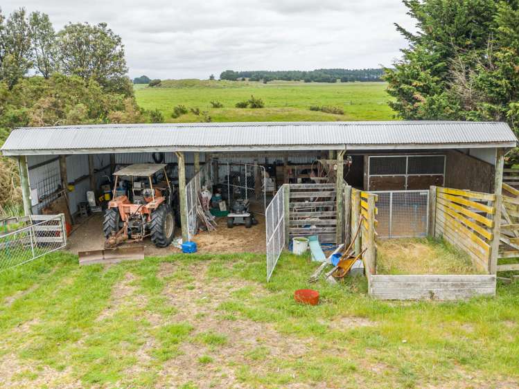 334 Motuiti Road Foxton_19