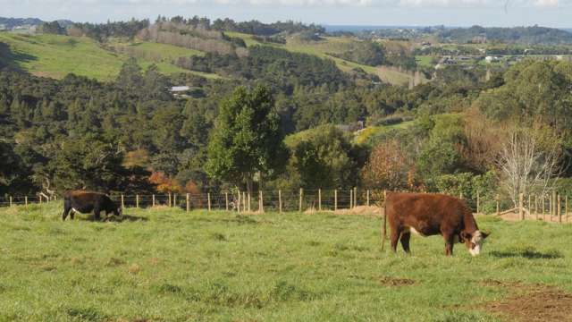 Lot Lot 2/404 Tara Road Mangawhai_1