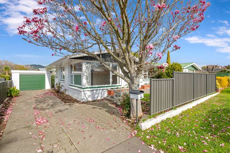 1/113 Maxwell Road Blenheim_13