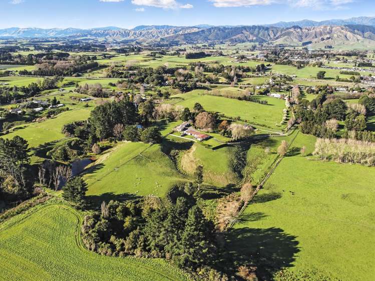 39A The Avenue Levin_39