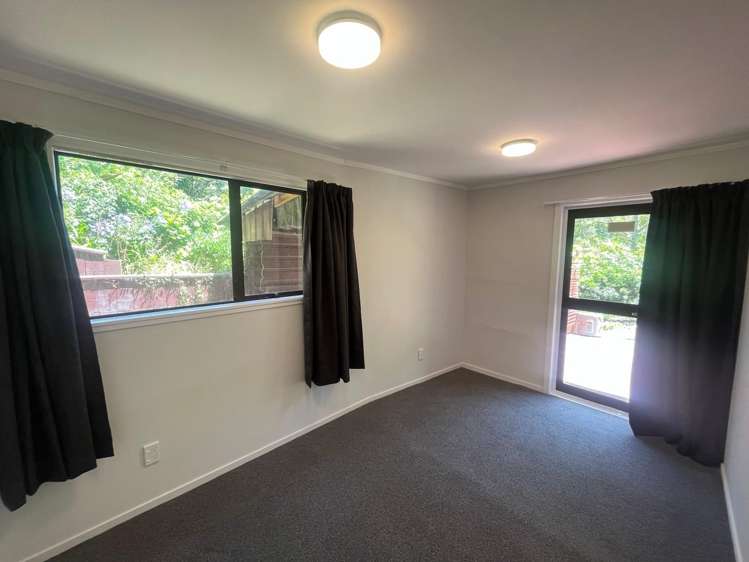 48 Norway Street Aro Valley_6