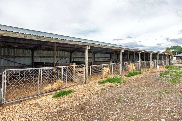 52 White Road Milford_14