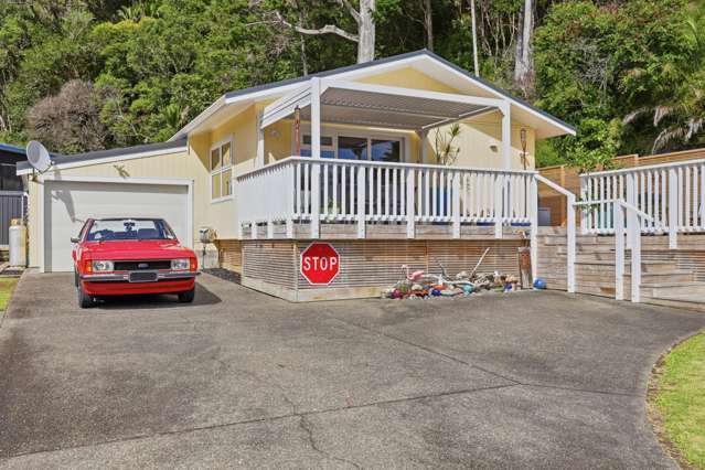 Buy One or Buy Both - Rare Opportunity in Waiwera