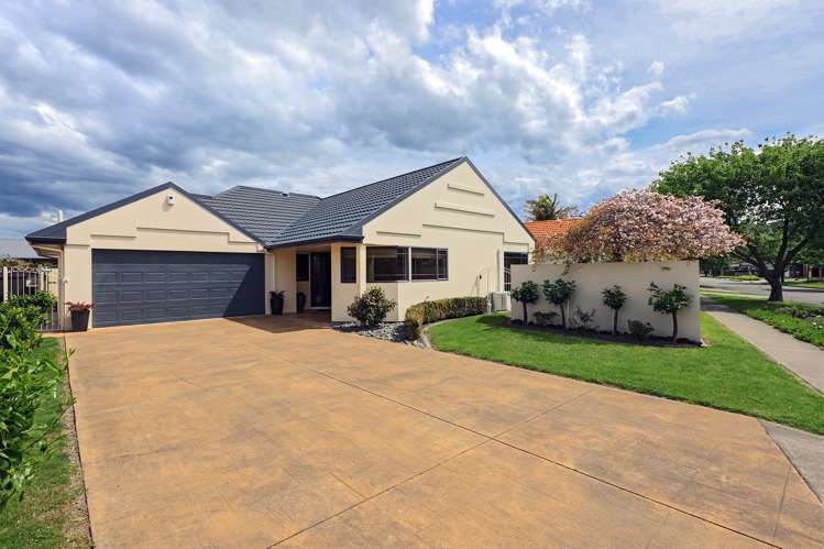 150 Avenue Road Greenmeadows_17