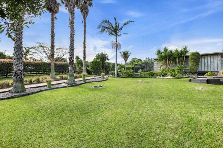 49 Shelly Beach Road Shelly Beach_28