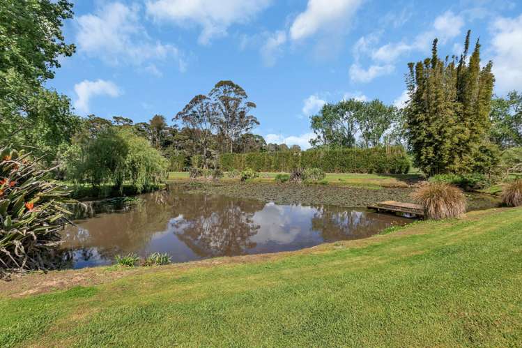 90 Mckinley Road Kokopu_45