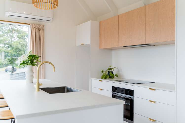 210a Larnach Road Waverley_7