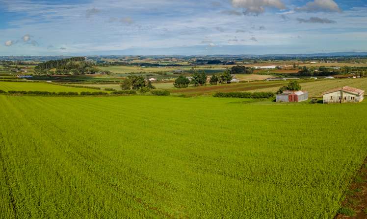 100 Hill Top Road Pukekohe_7