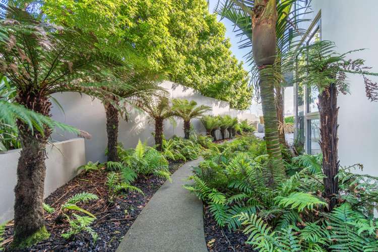 2D/154 St Stephens Avenue Parnell_14