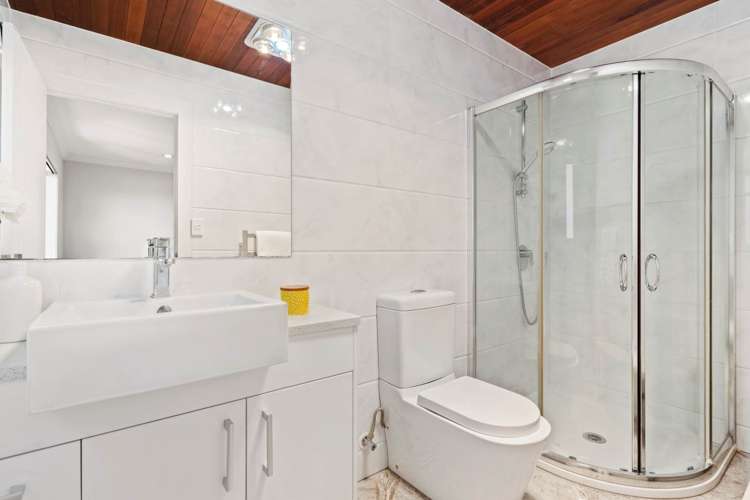 22 Alexia Place Flat Bush_26