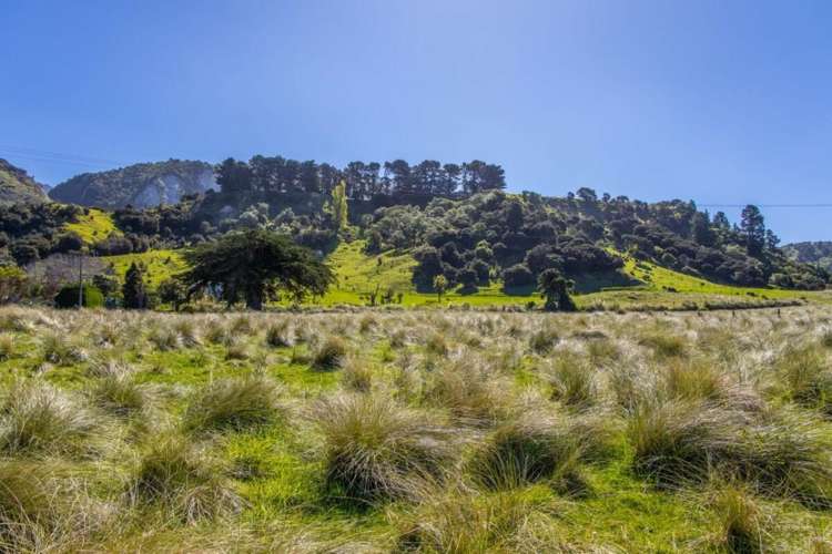 3237 State Highway 1, Waipapa Bay Kaikoura_10