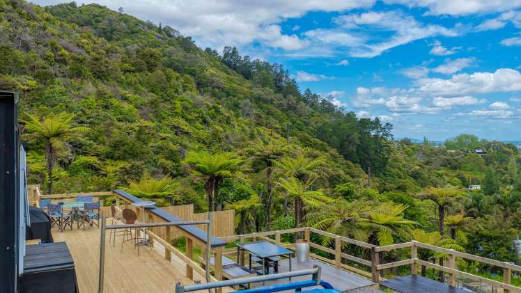 113 Collarbone Road Thames_20