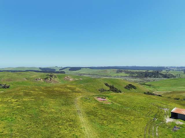 Lot Lot 2 Scottys Camp Road Dargaville_3