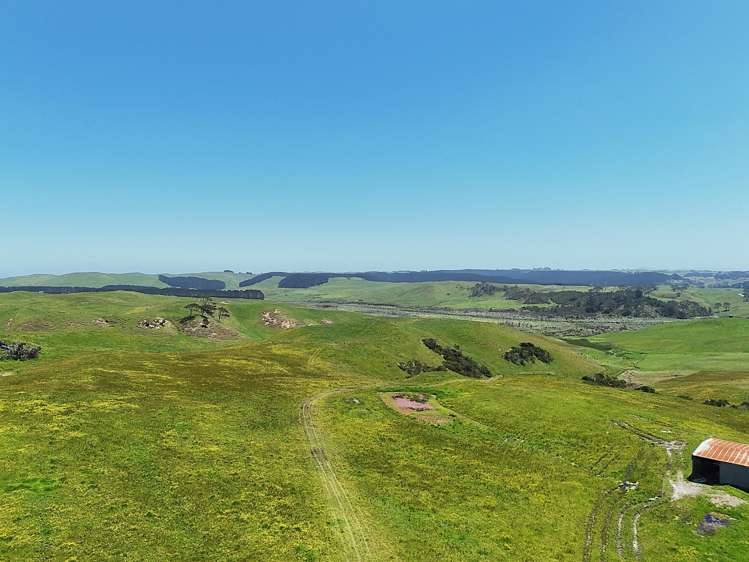 Lot Lot 2 Scottys Camp Road Dargaville_1