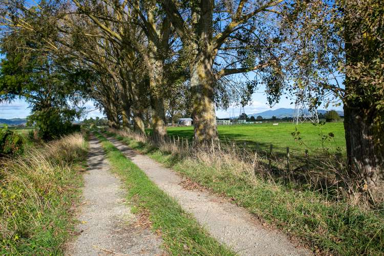 378 Victoria Road Pukemoremore_9