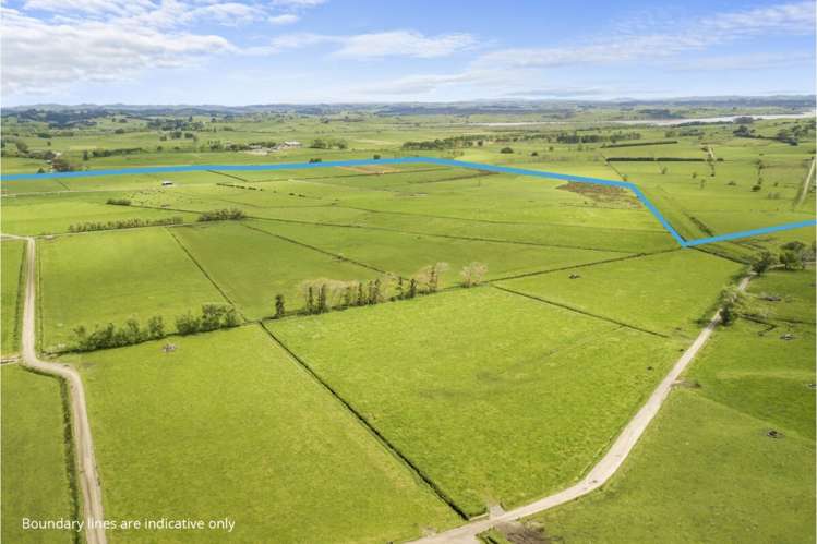 178 Furniss Road Ruawaro_7