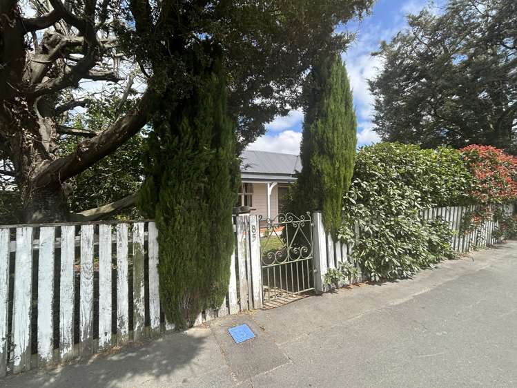 85 Forest Drive Methven_17