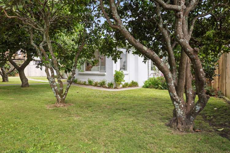 318 Maungatapu Road Maungatapu_18