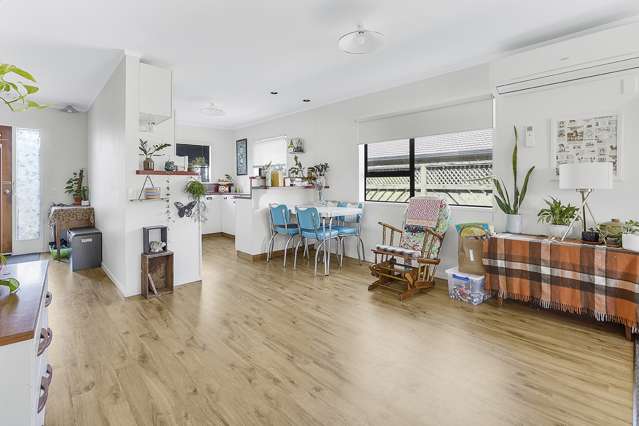 29 Williams Avenue Morrinsville_4