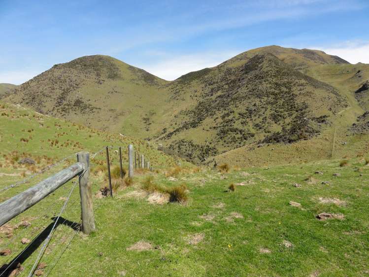 231 Powers Road Hawarden_8