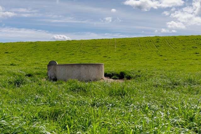 59 Waihaorunga Back Road Elephant Hill_4