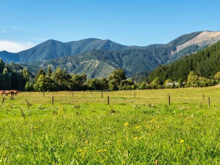 216 Para Road Picton_9