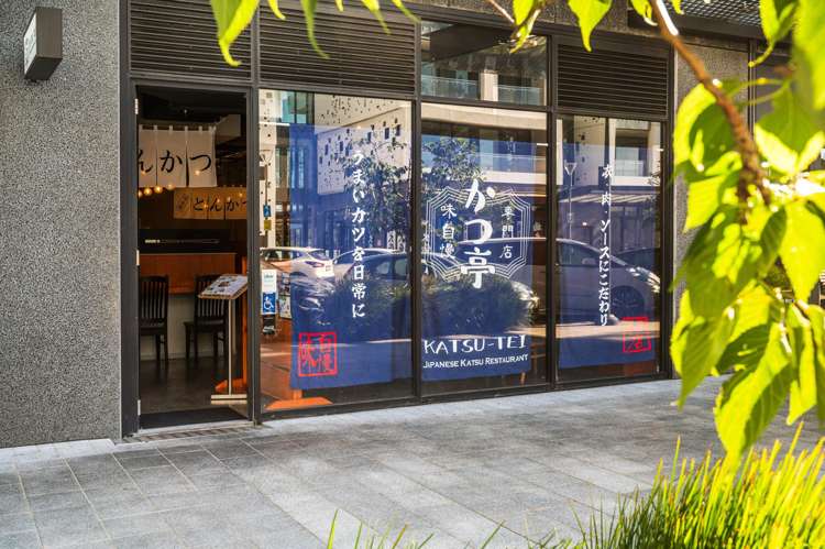 202/223D Green Lane West Epsom_17