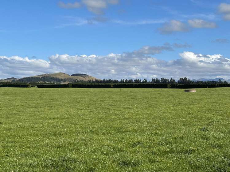 263 Domain Road Oxford_6