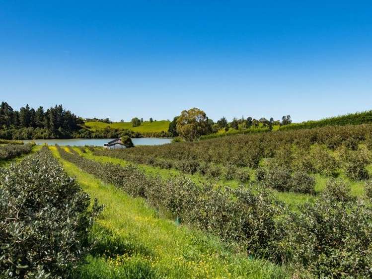 1 Apple Valley Road East Mahana_17