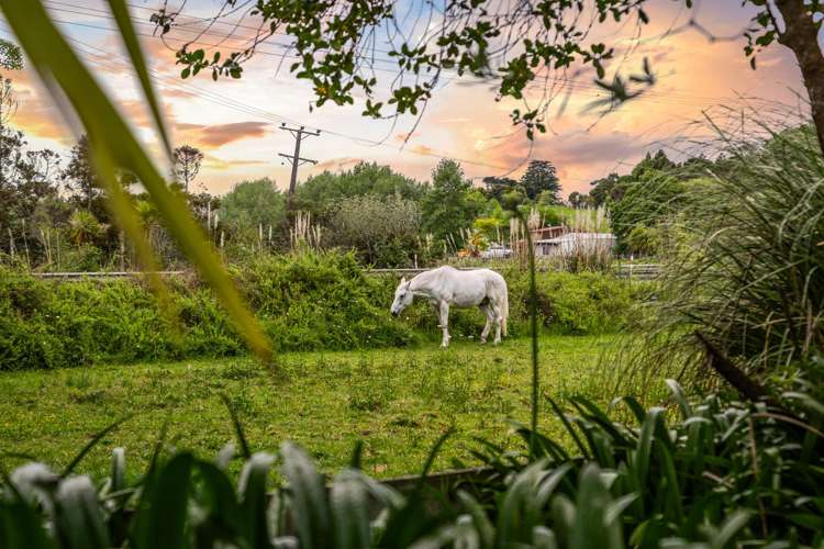438 Kaipara Coast Highway Helensville_27