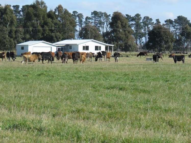 1035 Newland Road Clandeboye_14