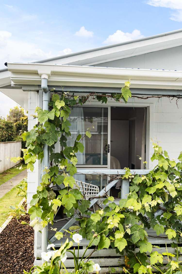 50 Churchill Street Whakatane_21