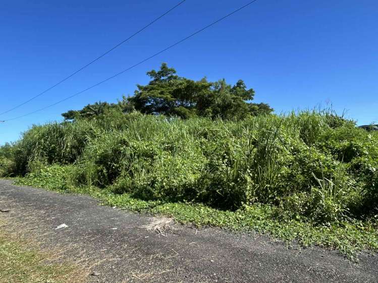 Lot 11 Pali Street Off Nasoso Road Nadi_5