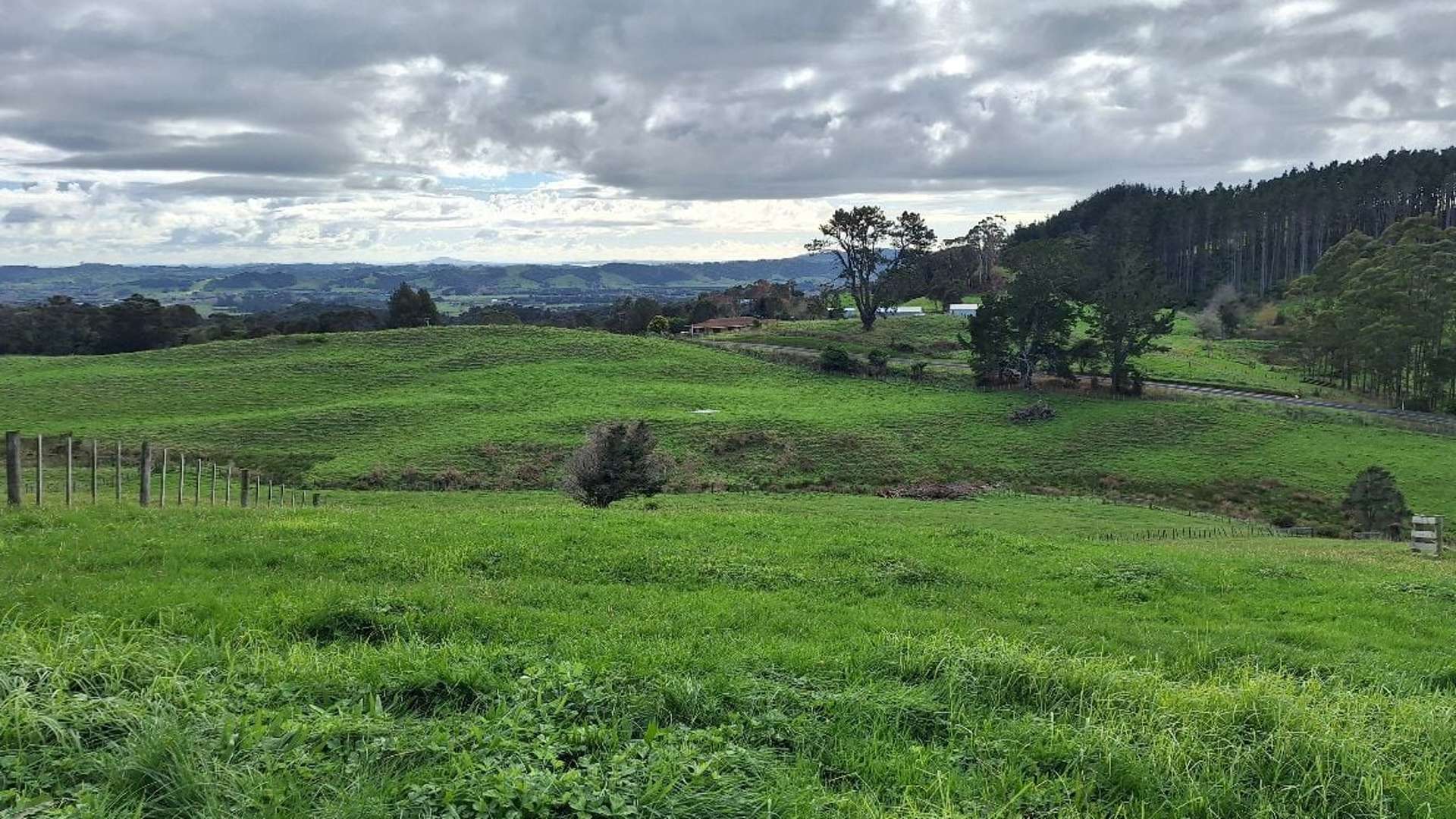 530 Creightons Road Ardmore_0