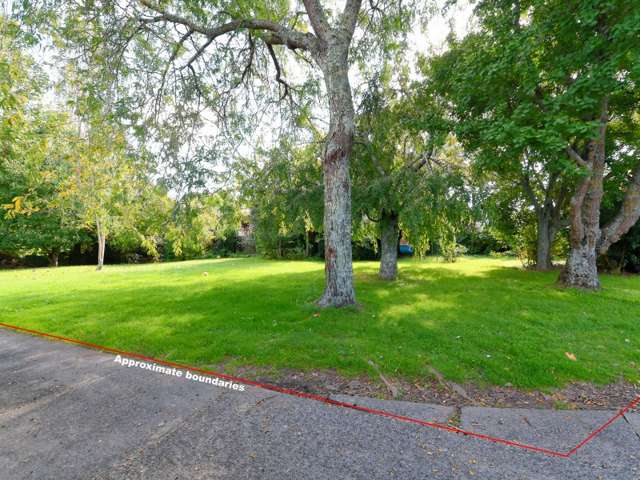 136 Clyde Street Hamilton East_4