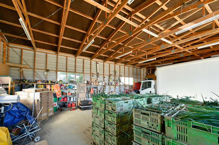 49 Baldwin Road Tasman_16