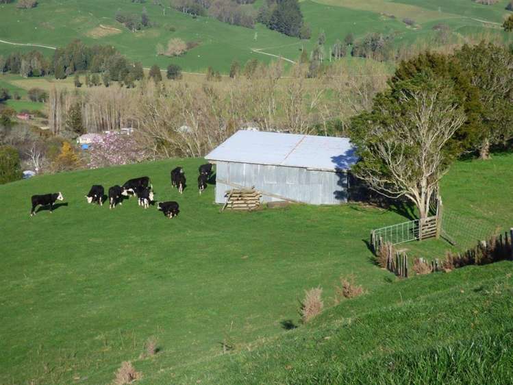 40 Ototoika Road Te Kuiti_16