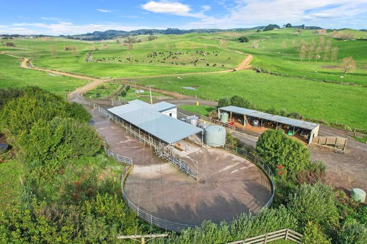 197 Broughton Road Ruawaro_8