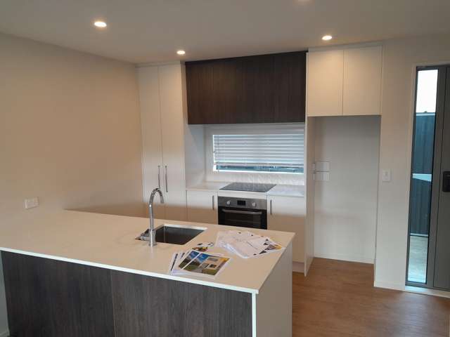 95 Simeon Street Spreydon_3