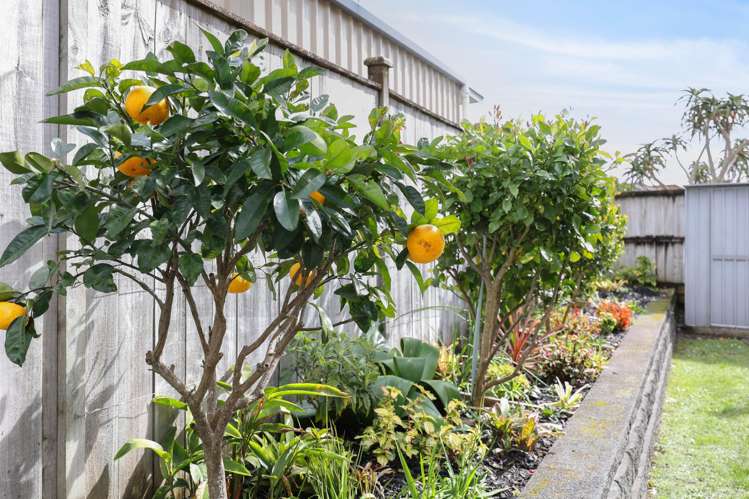 2 Murray Becroft Avenue Henderson Valley_29