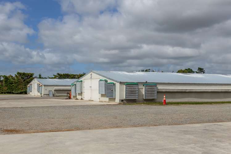 35 Mcclelland Road Rolleston_13