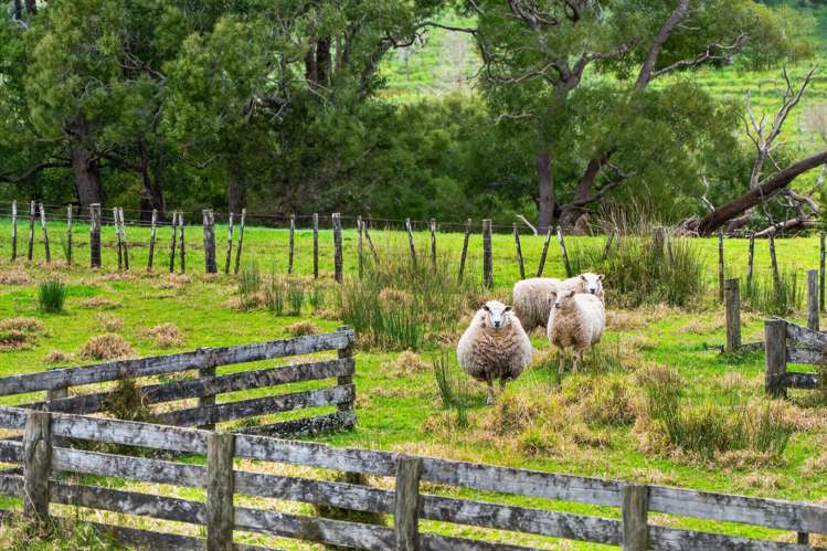 1334 Pukehuia Road Tangiteroria_20