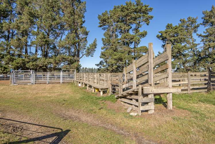 562 Thompsons Track Rakaia_12