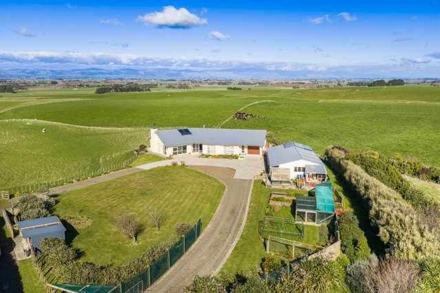 63 Sutherland Road Sanson_2