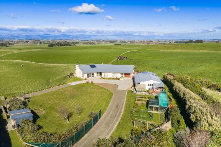 63 Sutherland Road Sanson_2