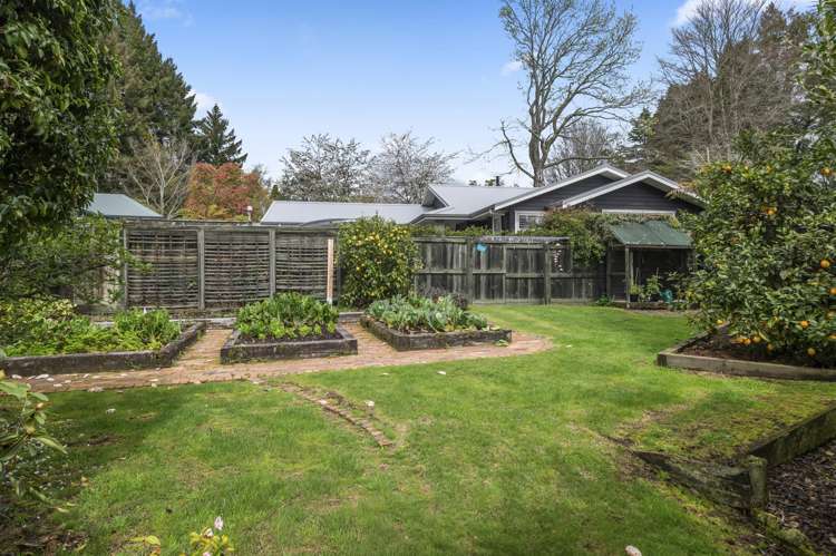 9 Moncur Drive Springfield_30